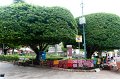 20101202_124603 D3